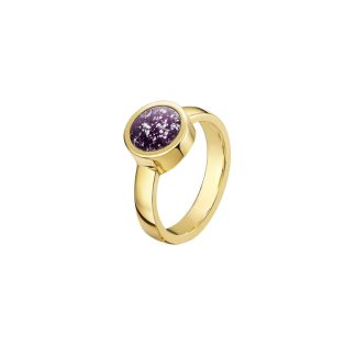 Classic Tribute Ring - 9ct Gold